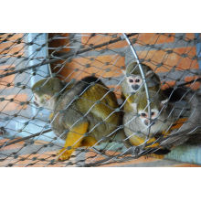 Petites cages de chat et filet de maille d&#39;acier inoxydable de maille de clôture